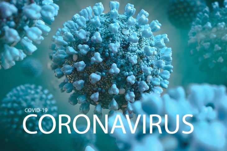 covid  19 coronavirus virus equipe
